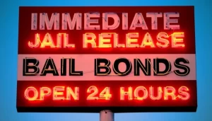 The Cost of Freedom: Excessive Bail
